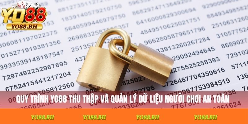 Quy trình Yo88 thu thập và quản lý dữ liệu người chơi an toàn