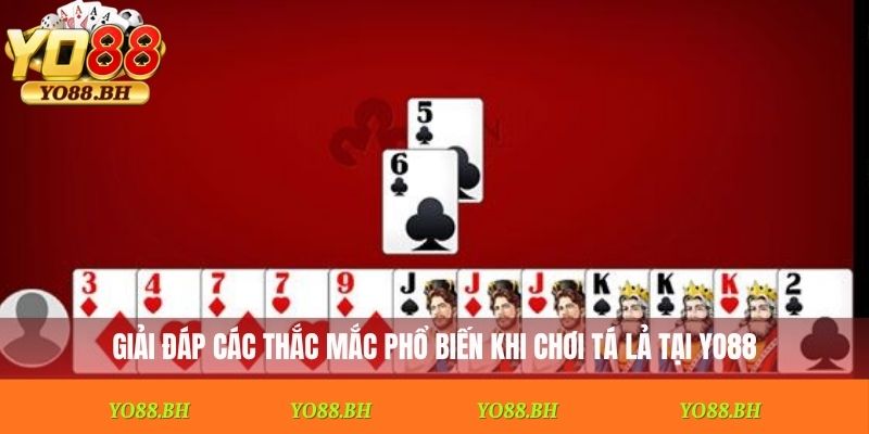 Giải đáp các thắc mắc phổ biến khi chơi tá lả Yo88