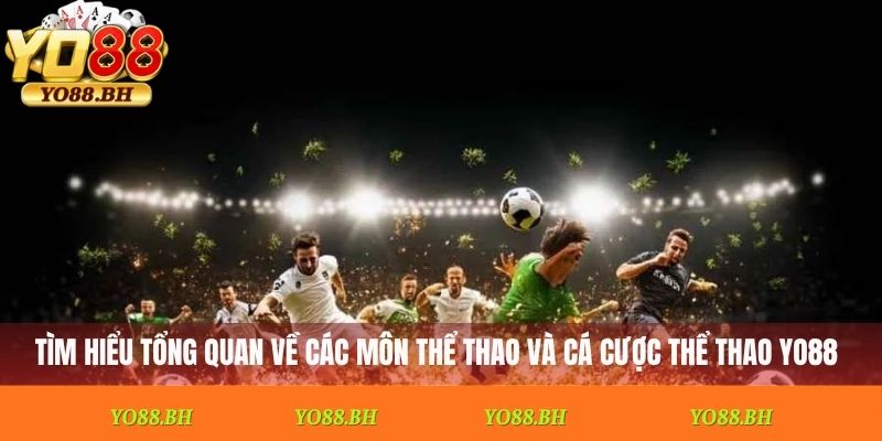 Tìm hiểu tổng quan về các môn thể thao và cá cược thể thao Yo88