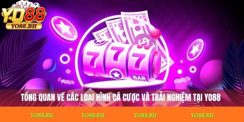 Tổng quan về các loại hình cá cược và trải nghiệm tại Yo88